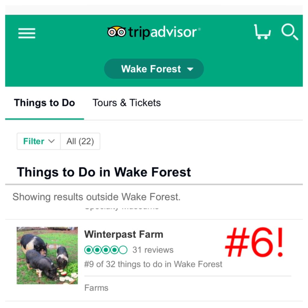 things-to-do-in-wake-forest-number-6-winterpast-farm