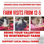 VALENTINES DAY EVENT AT WINTERPAST FARM